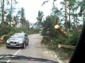 Ураган в Ленинградской области