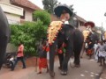 -Индия-шествие-слон-3779663