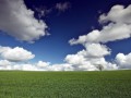 sunlight-nature-grass-sky-field-horizon-cloud-grassland-plant-pasture-agriculture-meadow-plain-prair