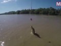 Terrifying footage shows crocodile launch entire body out of water to snatch food