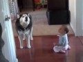 Собака и ребенок разговаривают и понимают друг друга!