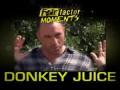 Fear Factor Moments | Donkey Juice