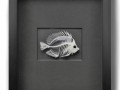 11x14 Butterfly Fish on GRAPHITE in Black