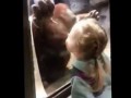 Дети и животные.Приколы в зоопарке
