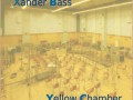 Xander Bass - Goodbye