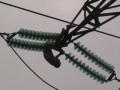 Голый мужик повис на электропроводах
