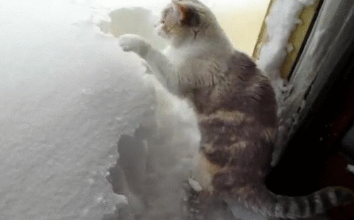 1363282427_gifs_230