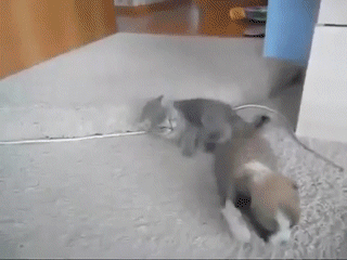 1417481543_787897620