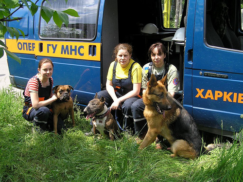 2508455493_3be7760df1