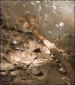 1417846751_1843235191