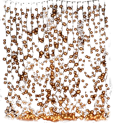 1c7952f0d21ef69620c85478646b198b