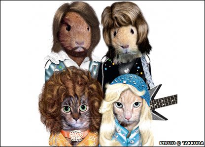 _46483838_gall_pets_abba