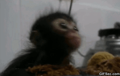 gifs_19