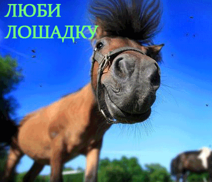 1280743759_0_4bf1b_388d561a_l.jpg