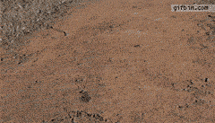 46d94c78b90583f76666f0dd5bf40488