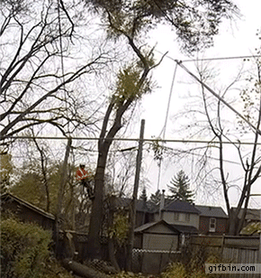 1419332429_785824513