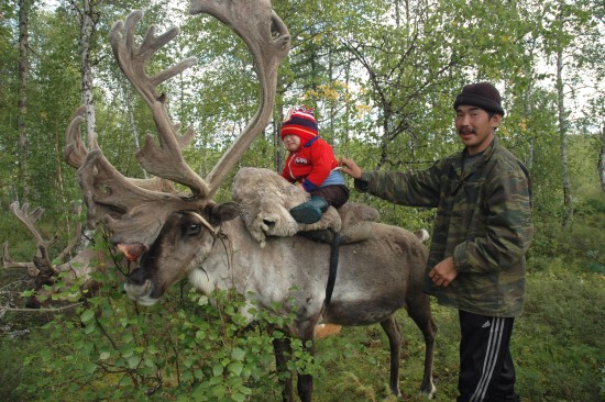 Не хочу в оленеводы