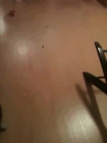 258_yapfiles.ru