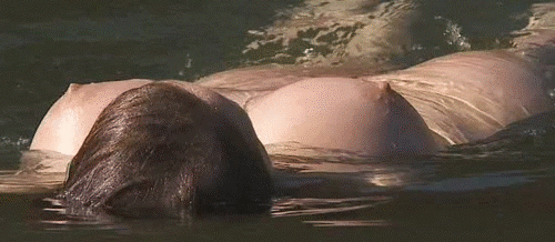 28383629861682_802816