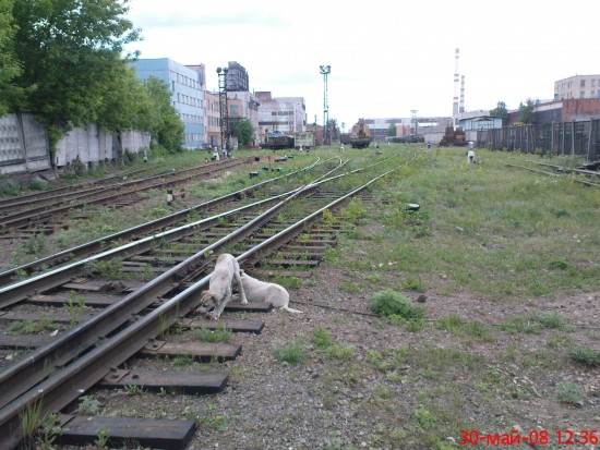 Микроволновка