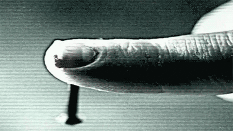 1346669812_0290df130c6df66575a9f85d19a62b8ae545403c_m