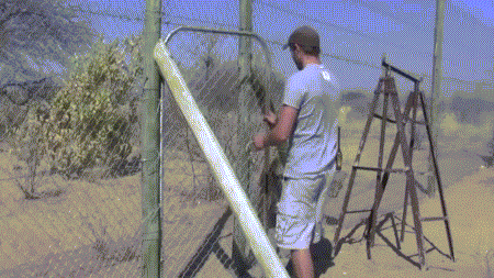 1378059980_184560860