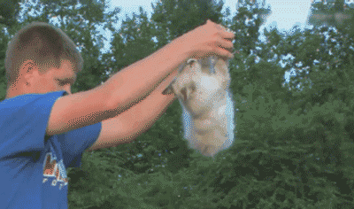 суко_yapfiles.ru