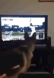 gifs_22