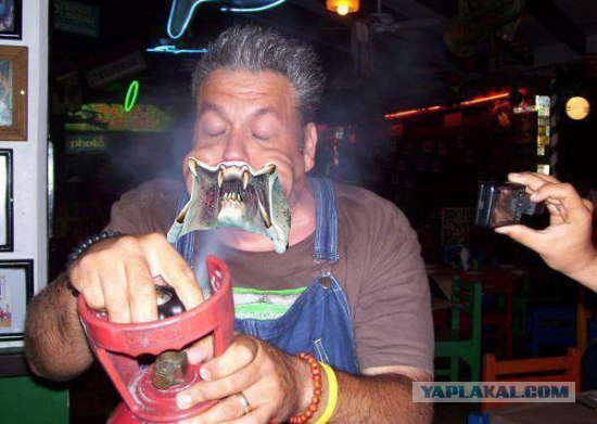 post-3-12769554921930