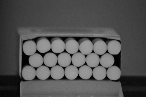 tumblr_ni4whuQGLi1su8nvco1_500