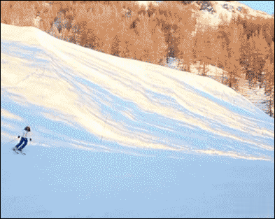 Фуфлыжники