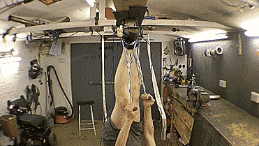 Потолочный пешеход