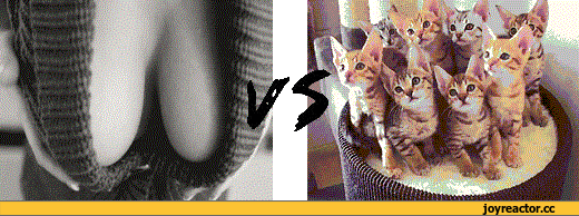 D0B3D0B8D184D0BAD0B8D0BAD0BED182D18DD0B6D0B8D0B2D0BDD0BED181D182D18CD181D0B8D181D18CD0BAD0B8974228