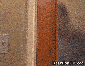 Отвращение