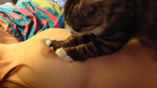 !!!с+кош