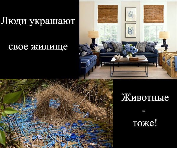 жилье