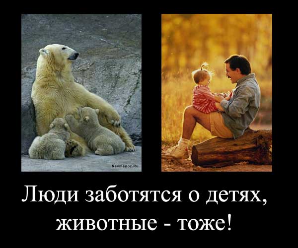 Дети