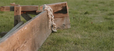 tumblr_ncqmwkO1Ng1r3gb3zo3_400