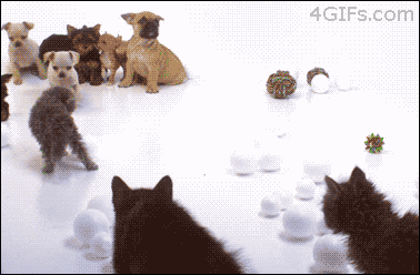 Every school dance, ever. - Imgur