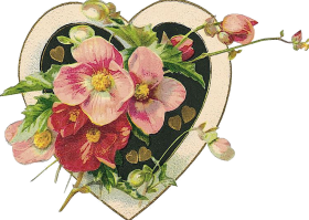 0_7d880_554d28d7_XL1 цветы