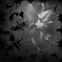 03730eba-9853-4a3e-9236-92fceee05756