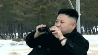 merged_gifs_15