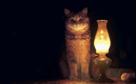 cat_and_lamp