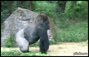 76a1288e73be21f3db892358adffd306