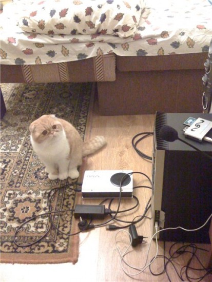 Финик