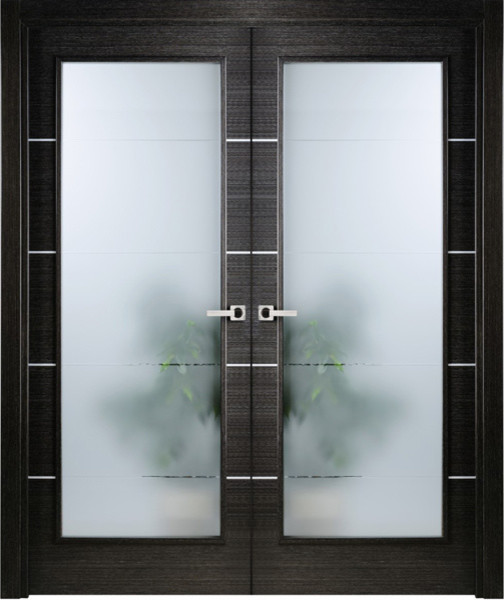 contemporary-interior-doors