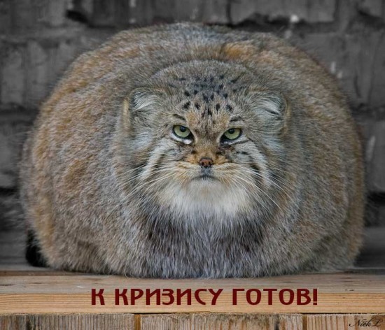 K-krizisu-GOTOV-!!!