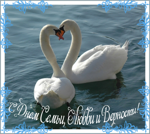 127474453545-web копия