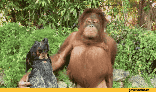 D0B6D0B8D0B2D0BDD0BED181D182D18CD0BCD0BDD0BED0B3D0BED0B3D0B8D184D0BED0BAD0B3D0B8D184D0BAD0B8D0BFD0BE