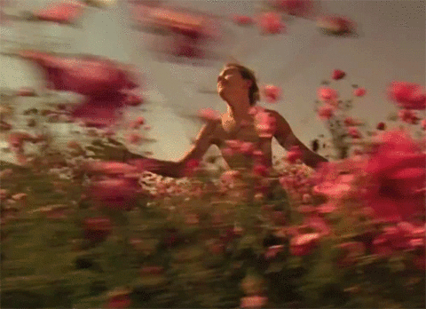 gifs_06